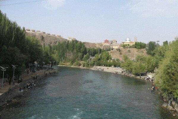 کم آبی چه بر سر درختان شهر اصفهان آورده است؟