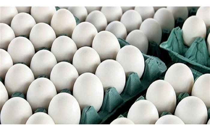 عرضه تخم مرغ کمتر از نرخ مصوب ستاد تنظیم بازار