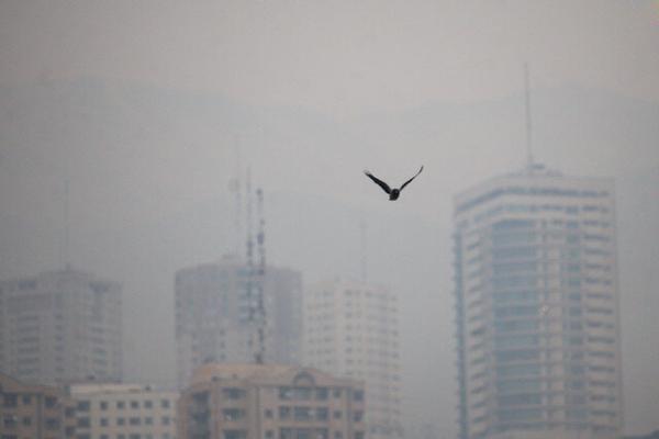 هوای تهران آلوده تر شد ، گروه های حساس مراقب باشند